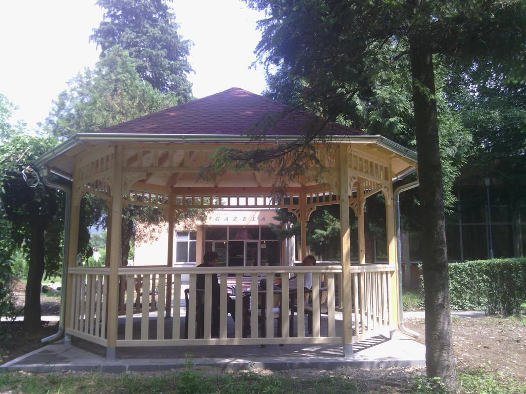 Prenociste Gazela Bed and Breakfast Pirot Eksteriør billede