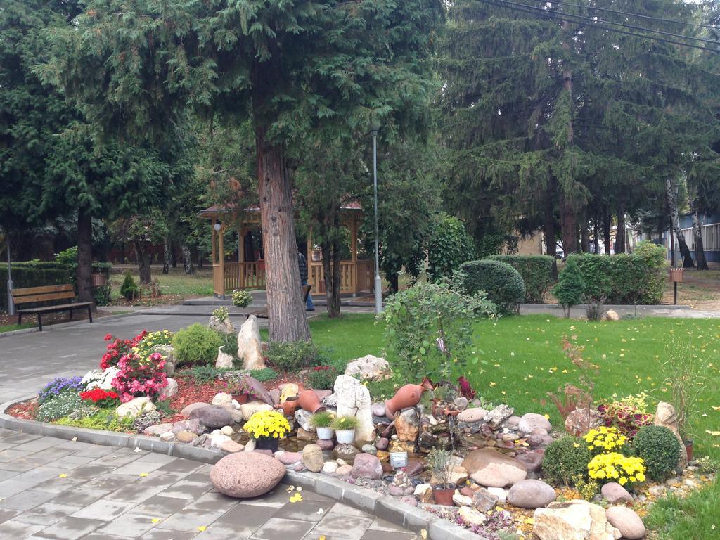 Prenociste Gazela Bed and Breakfast Pirot Eksteriør billede