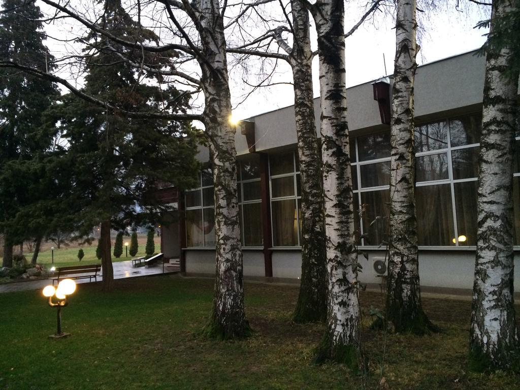 Prenociste Gazela Bed and Breakfast Pirot Eksteriør billede